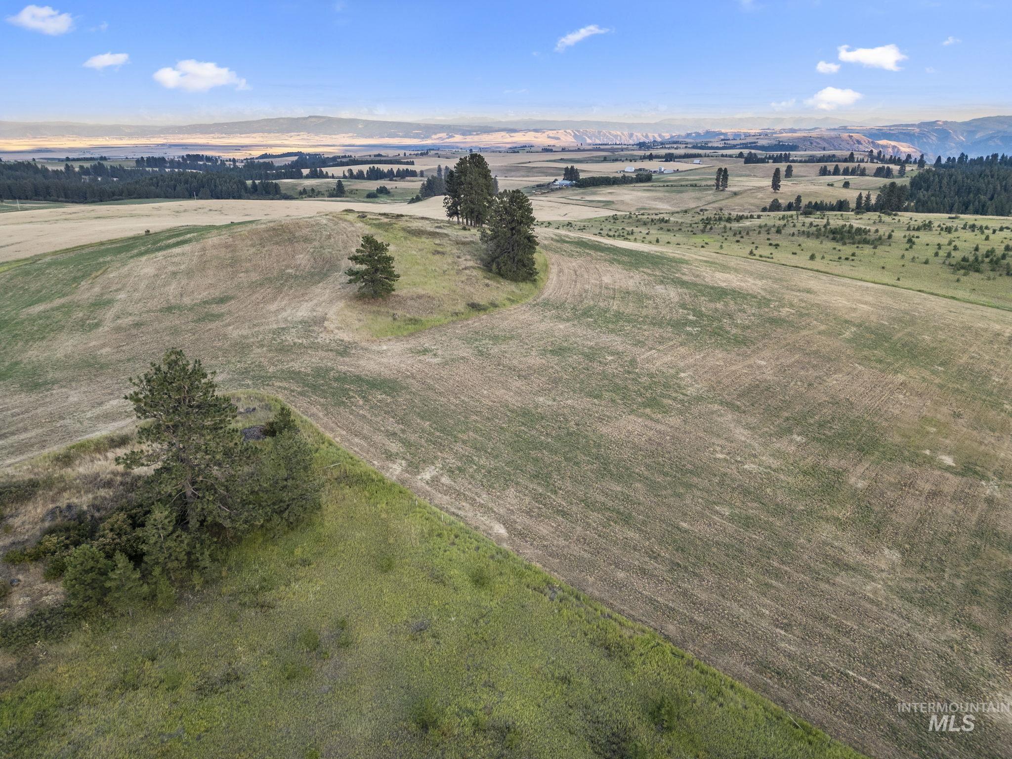 Tbd Keuterville Rd Property Photo 11