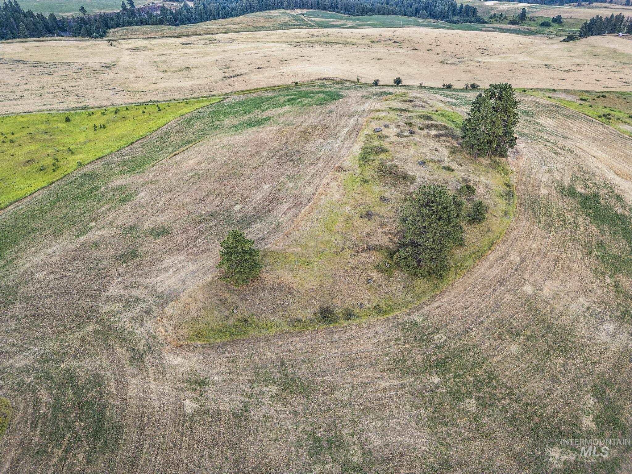 Tbd Keuterville Rd Property Photo 17