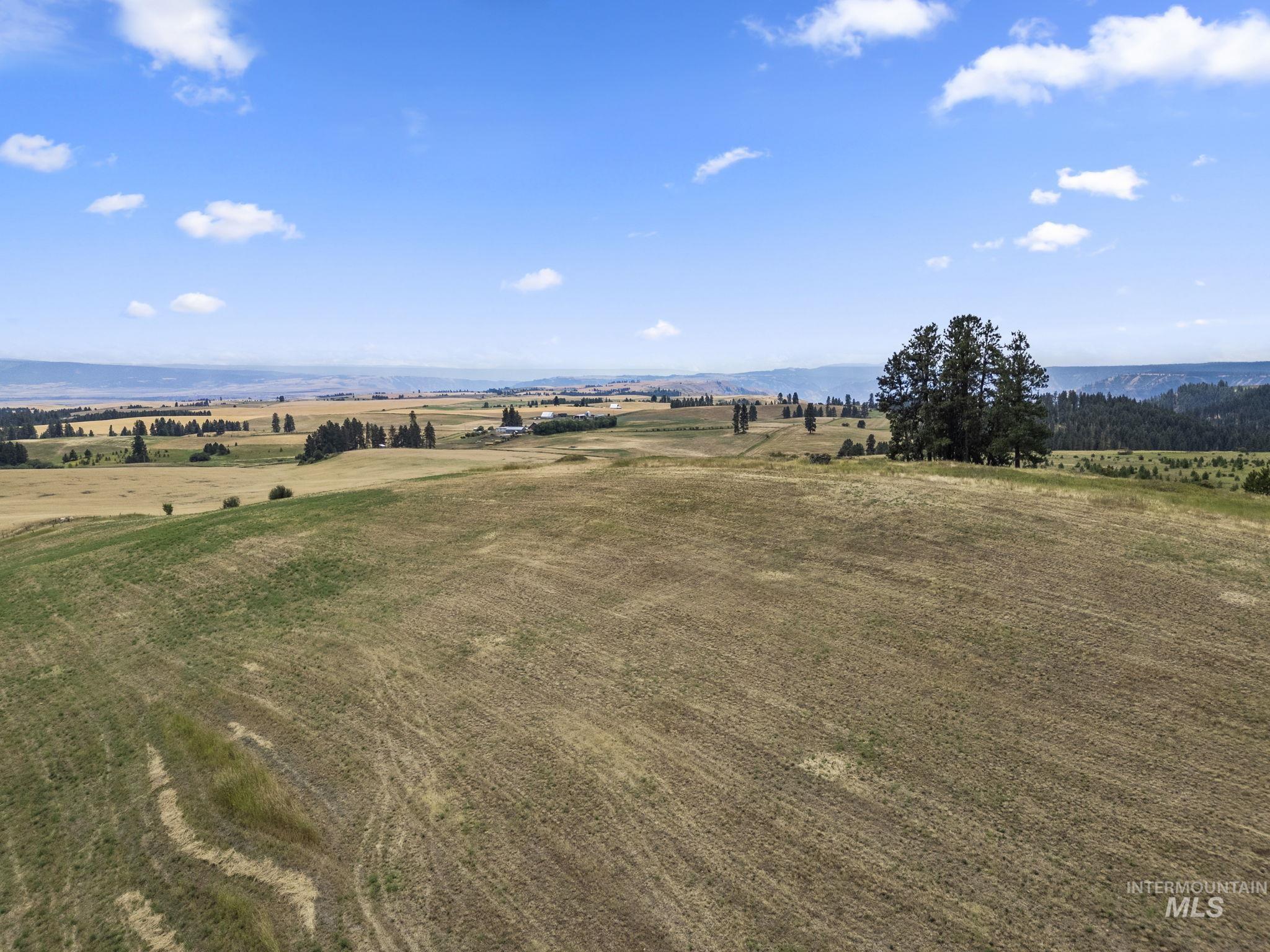Tbd Keuterville Rd Property Photo 20
