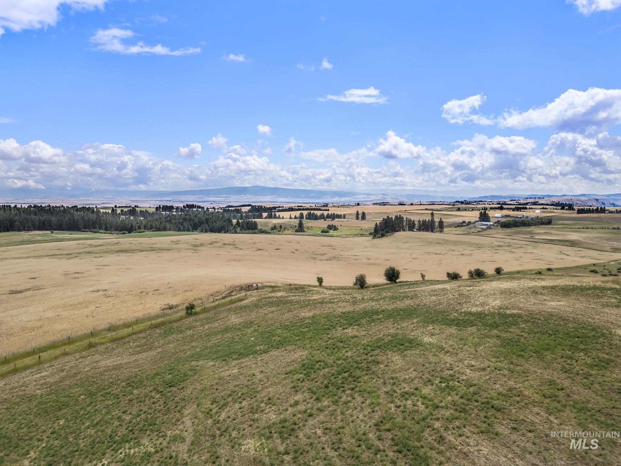 Tbd Keuterville Rd Property Photo 24