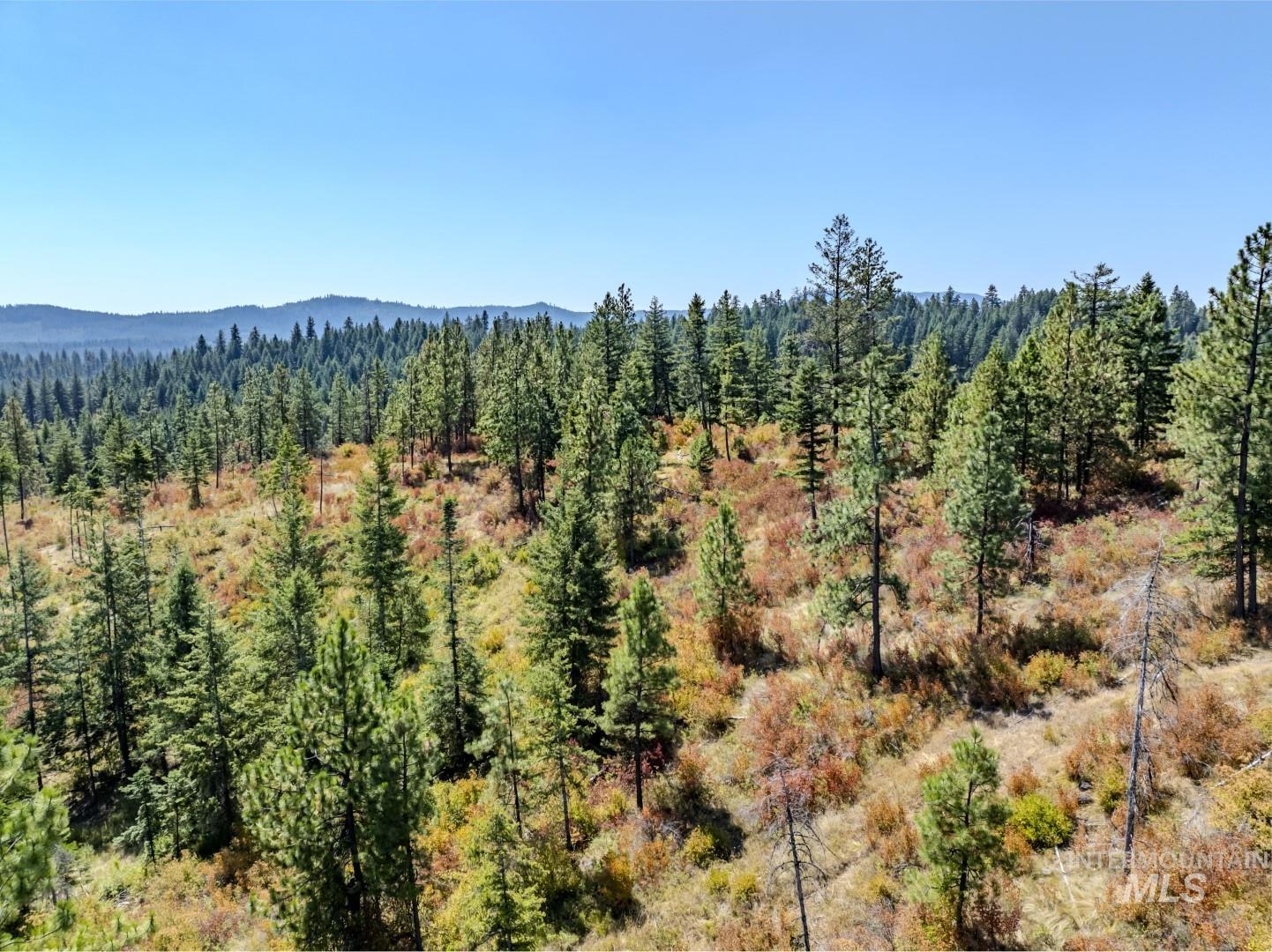 Starview Lane Parcel 1 Property Photo 14