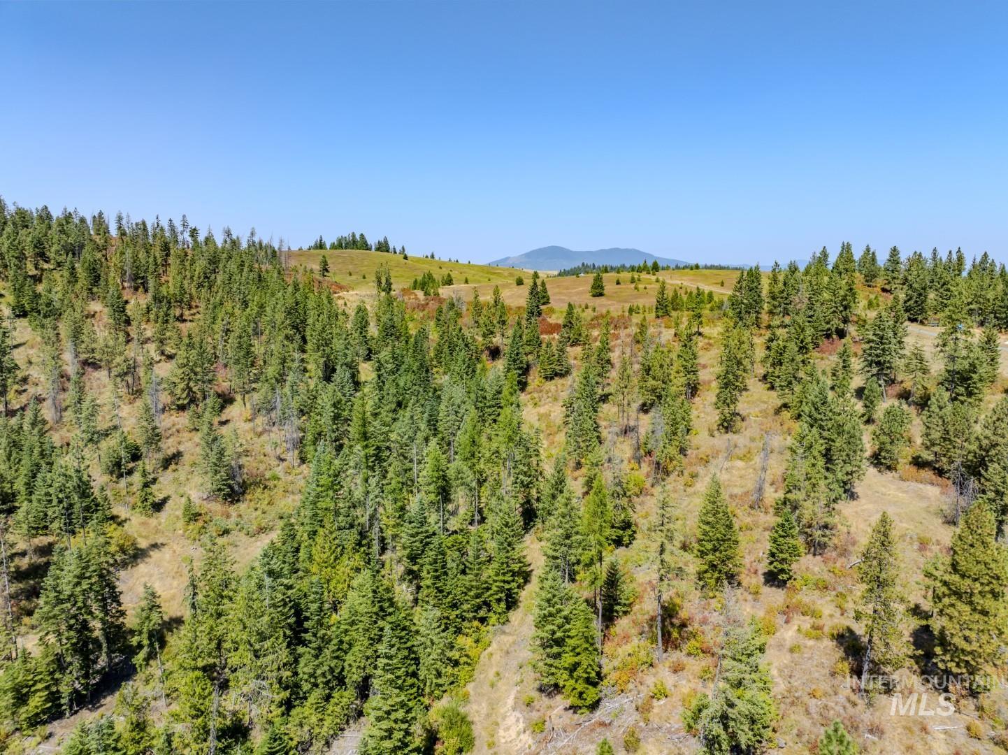 Starview Lane Parcel 2 Property Photo 4