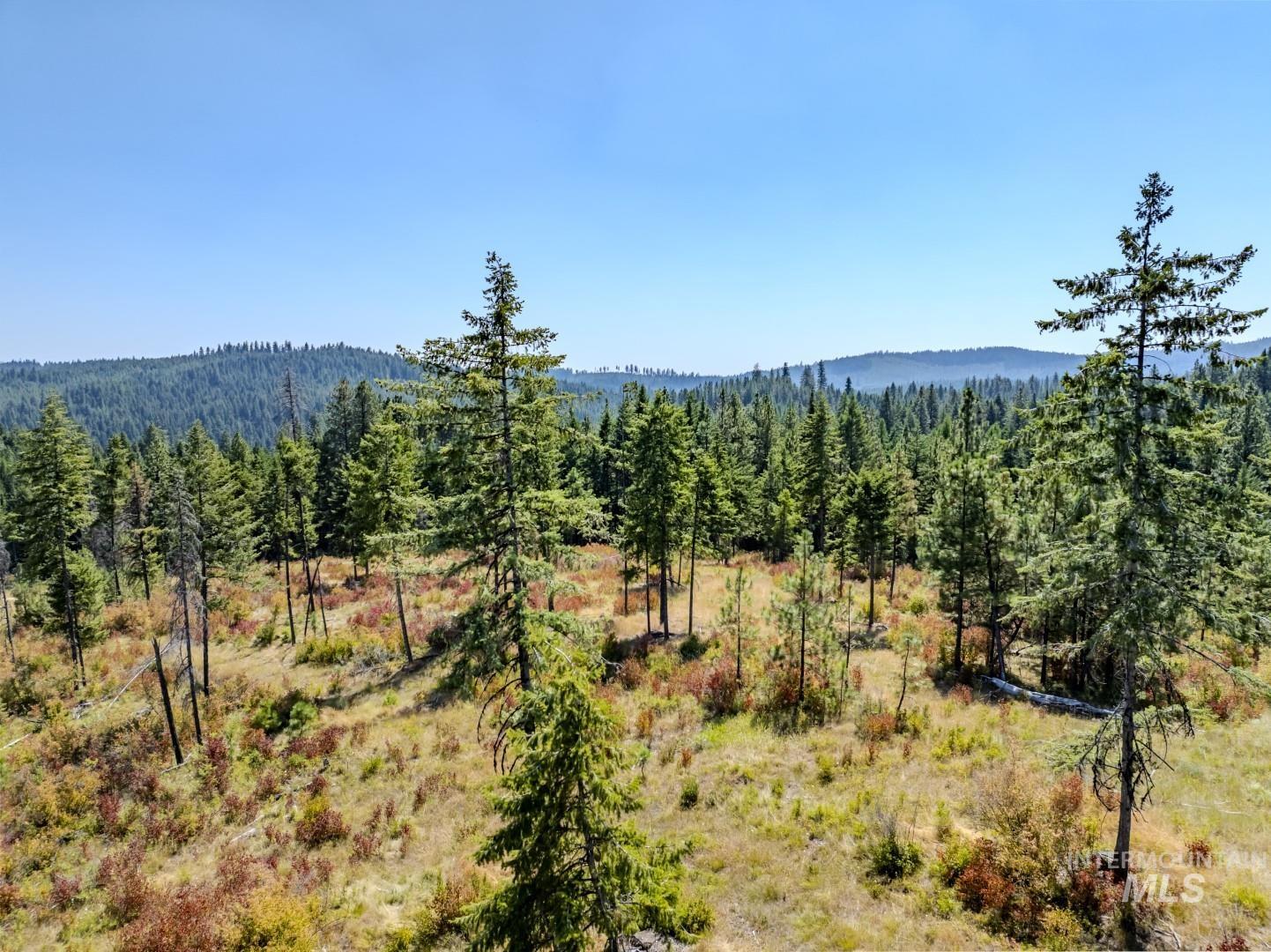 Starview Lane Parcel 2 Property Photo 6