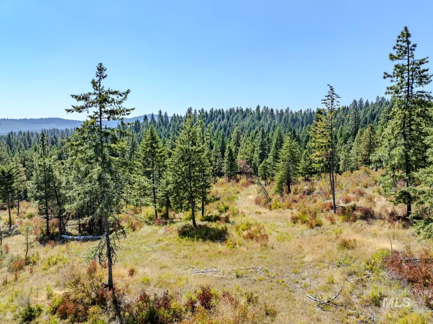 Starview Lane Parcel 2 Property Photo 7