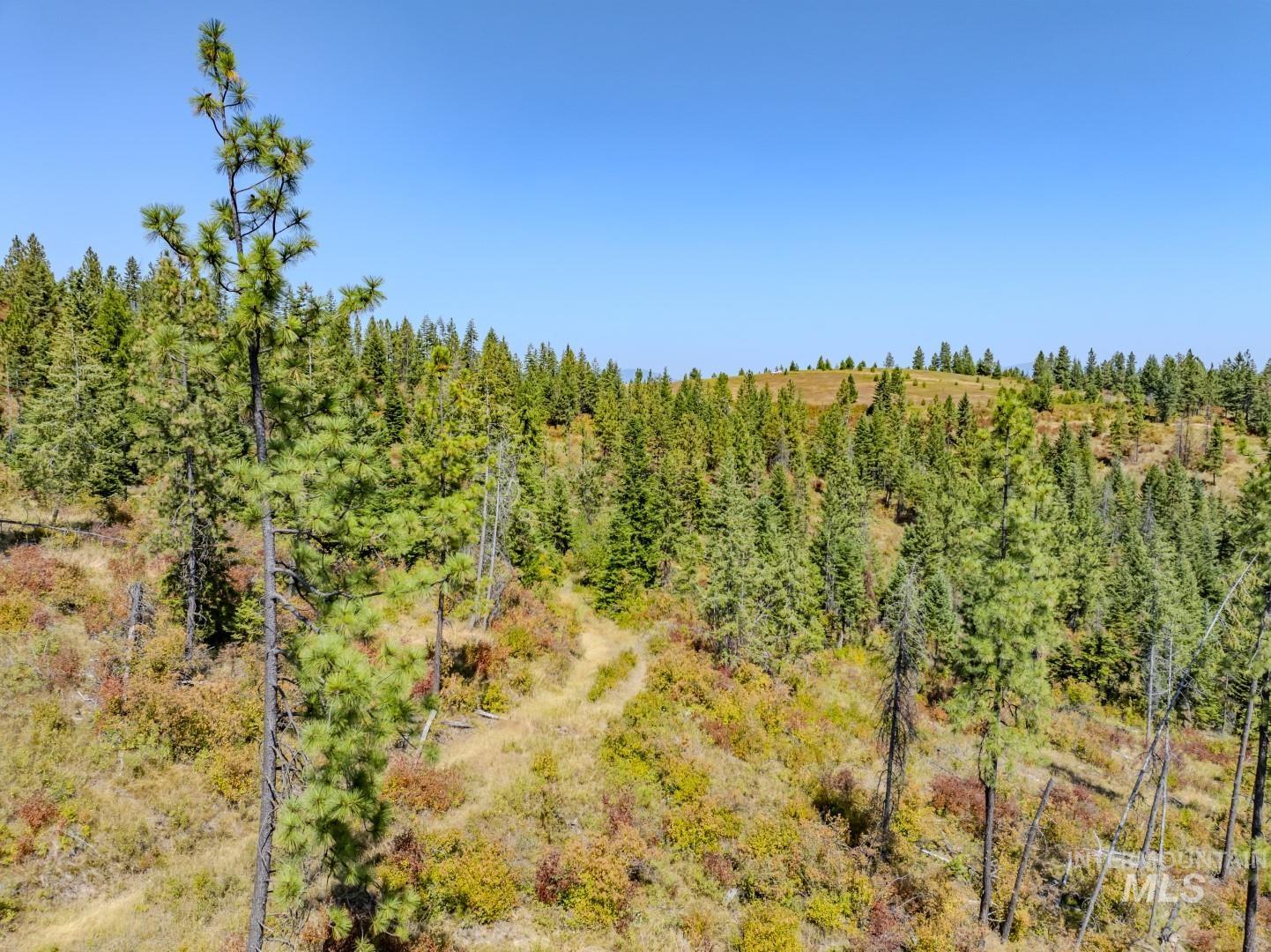Starview Lane Parcel 2 Property Photo 8