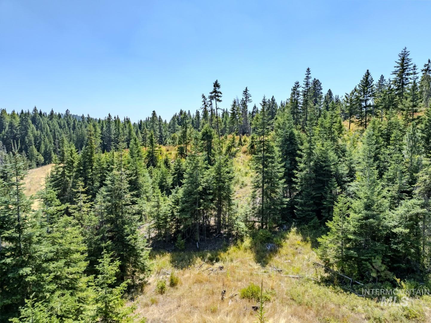 Starview Lane Parcel 2 Property Photo 11