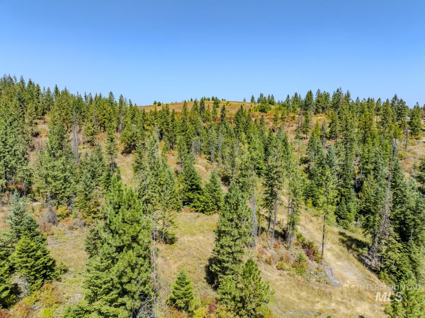 Starview Lane Parcel 2 Property Photo 13