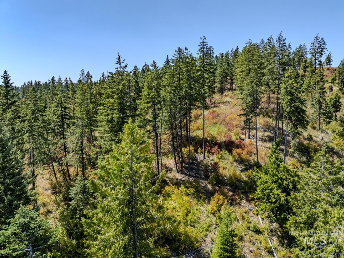 Starview Lane Parcel 2 Property Photo 16