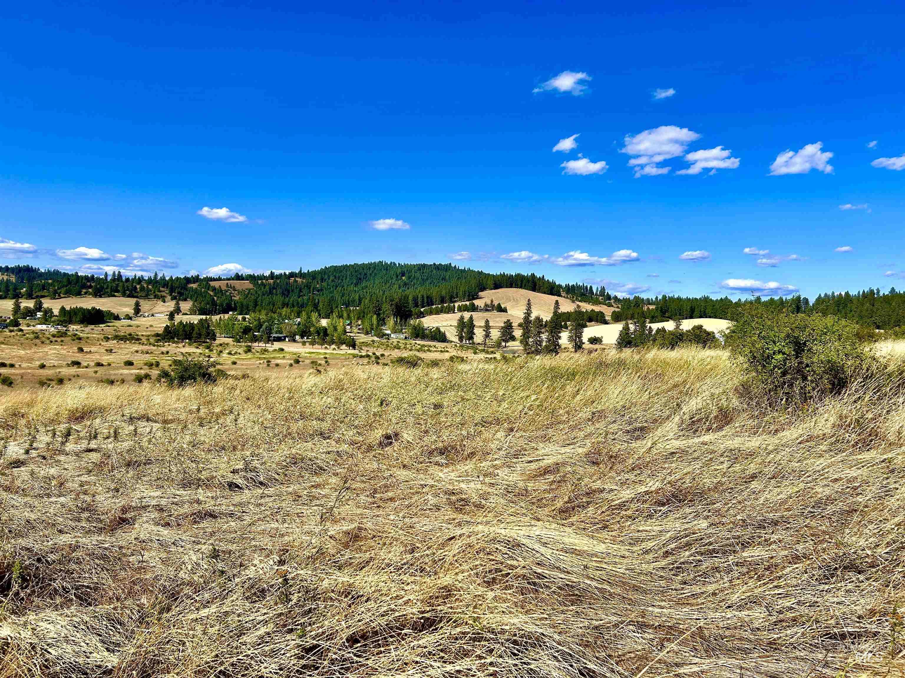 Tbd Aitken Road Property Photo 9