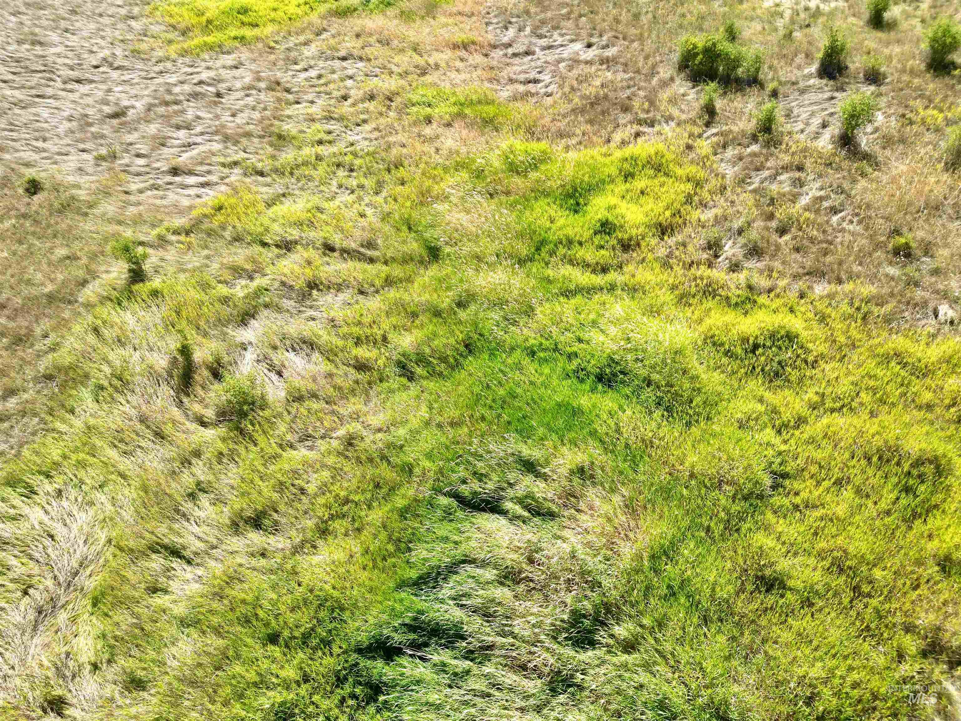 Tbd Aitken Road Property Photo 23
