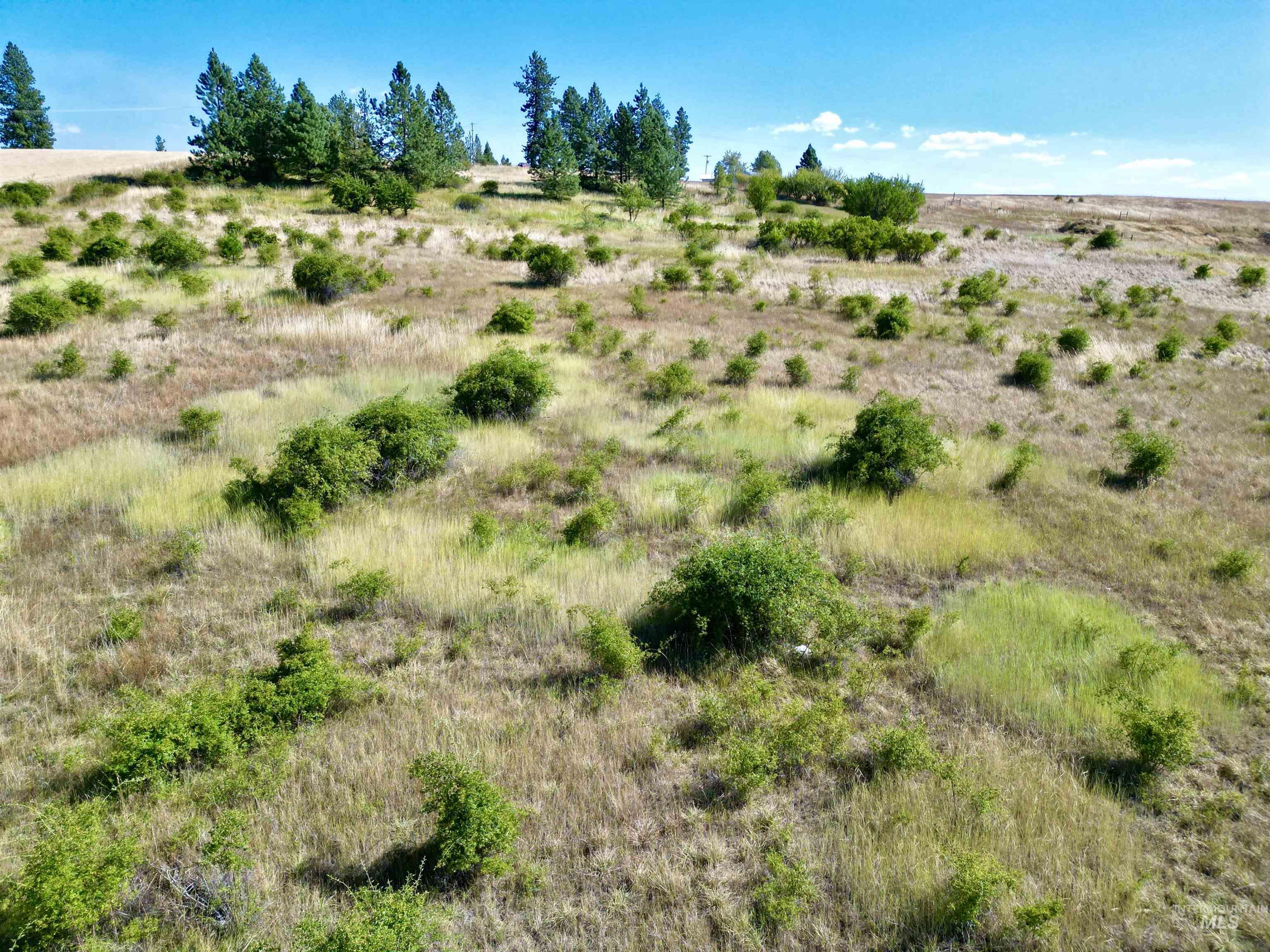 Tbd Aitken Road Property Photo 31