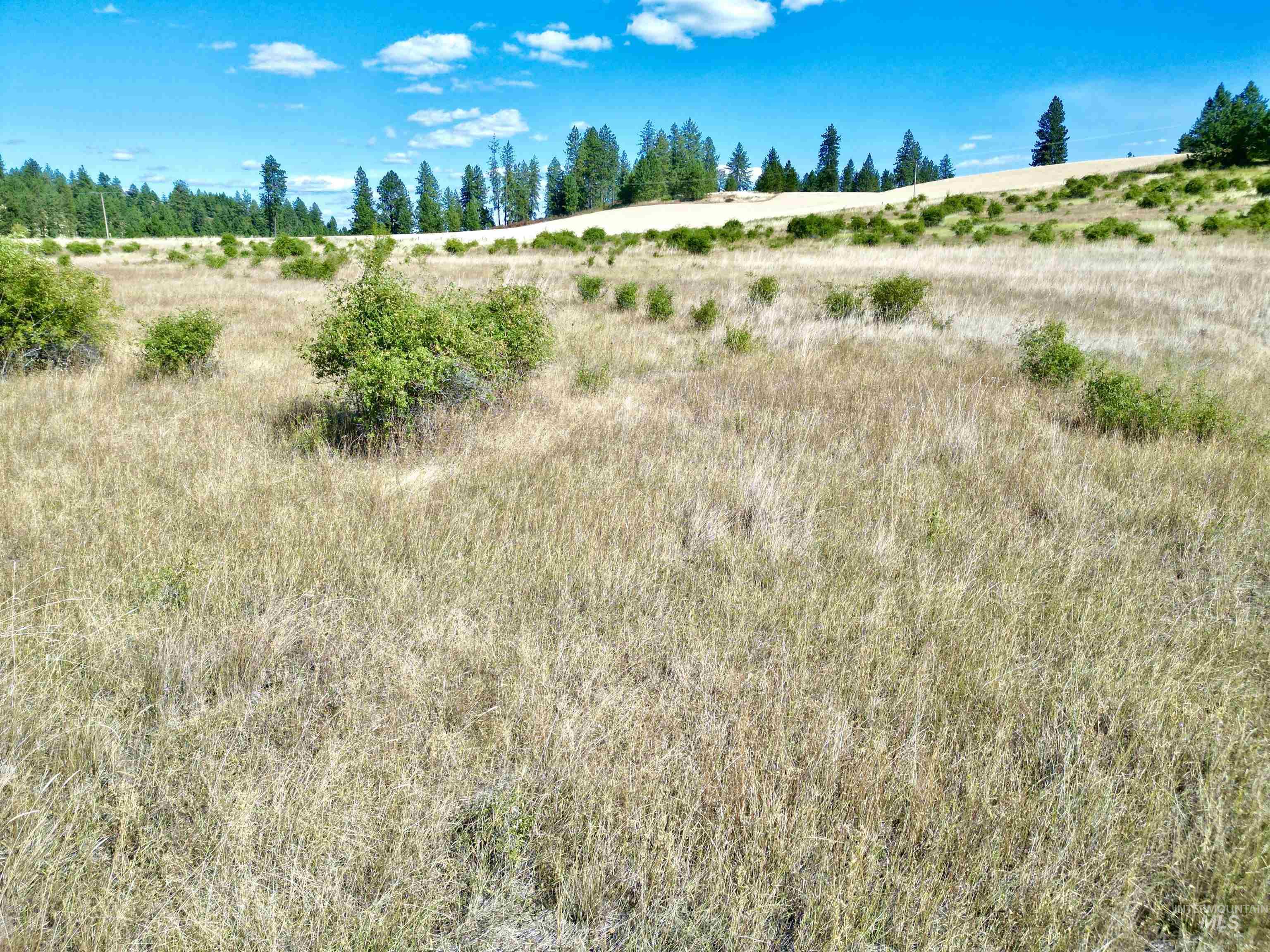 Tbd Aitken Road Property Photo 33