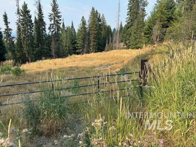 1300 Mother Lode Rd Property Photo 1