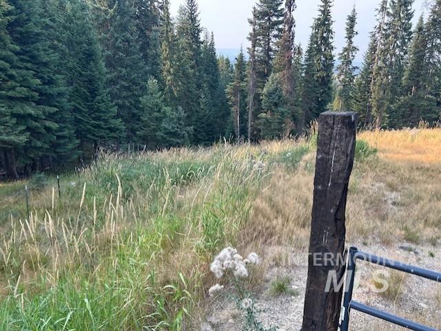 1300 Mother Lode Rd Property Photo 2