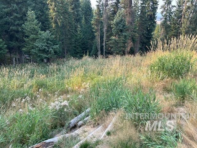 1300 Mother Lode Rd Property Photo 3