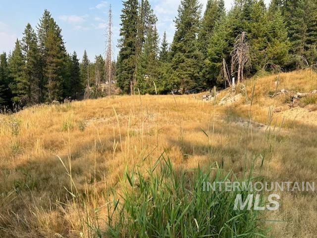 1300 Mother Lode Rd Property Photo 4
