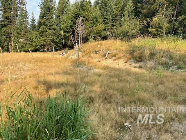 1300 Mother Lode Rd Property Photo 5