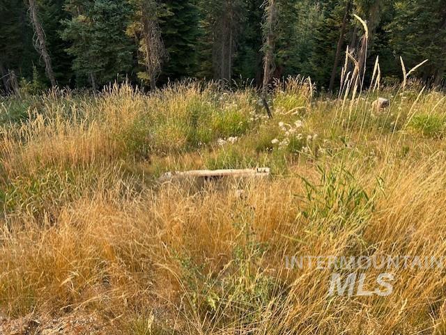 1300 Mother Lode Rd Property Photo 6