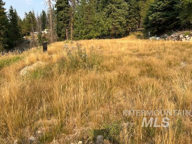 1300 Mother Lode Rd Property Photo 7