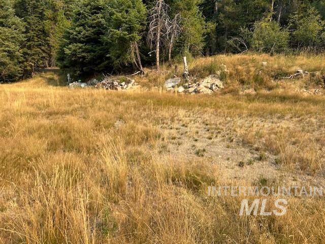 1300 Mother Lode Rd Property Photo 8