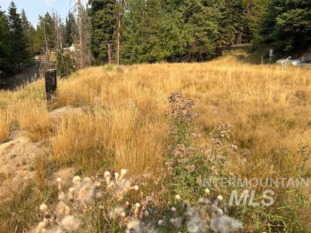1300 Mother Lode Rd Property Photo 9