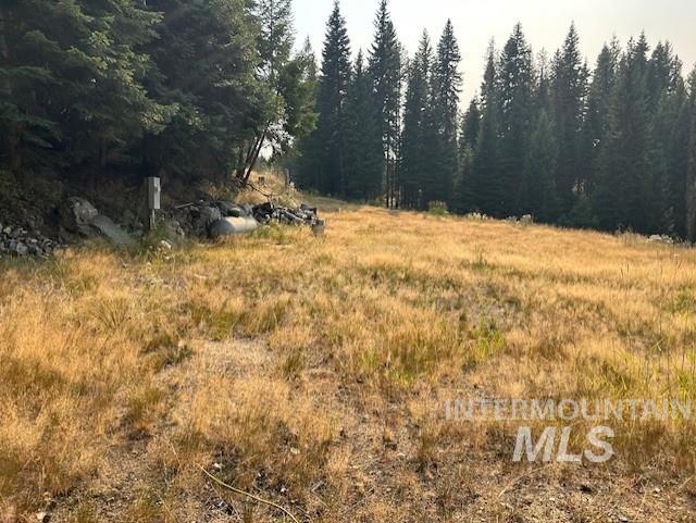 1300 Mother Lode Rd Property Photo 15