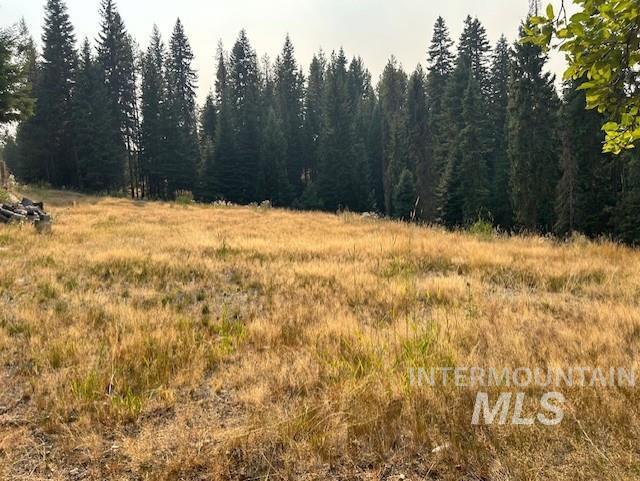 1300 Mother Lode Rd Property Photo 16
