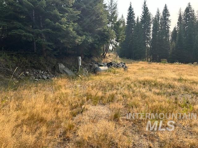 1300 Mother Lode Rd Property Photo 17