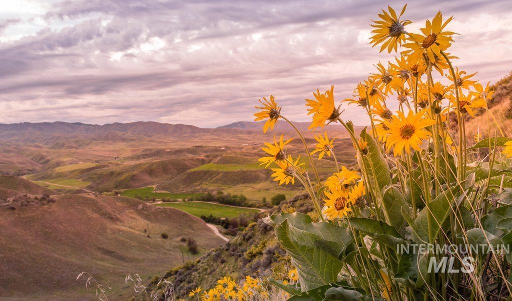 11760 N Elk Ridge Way Property Photo 40