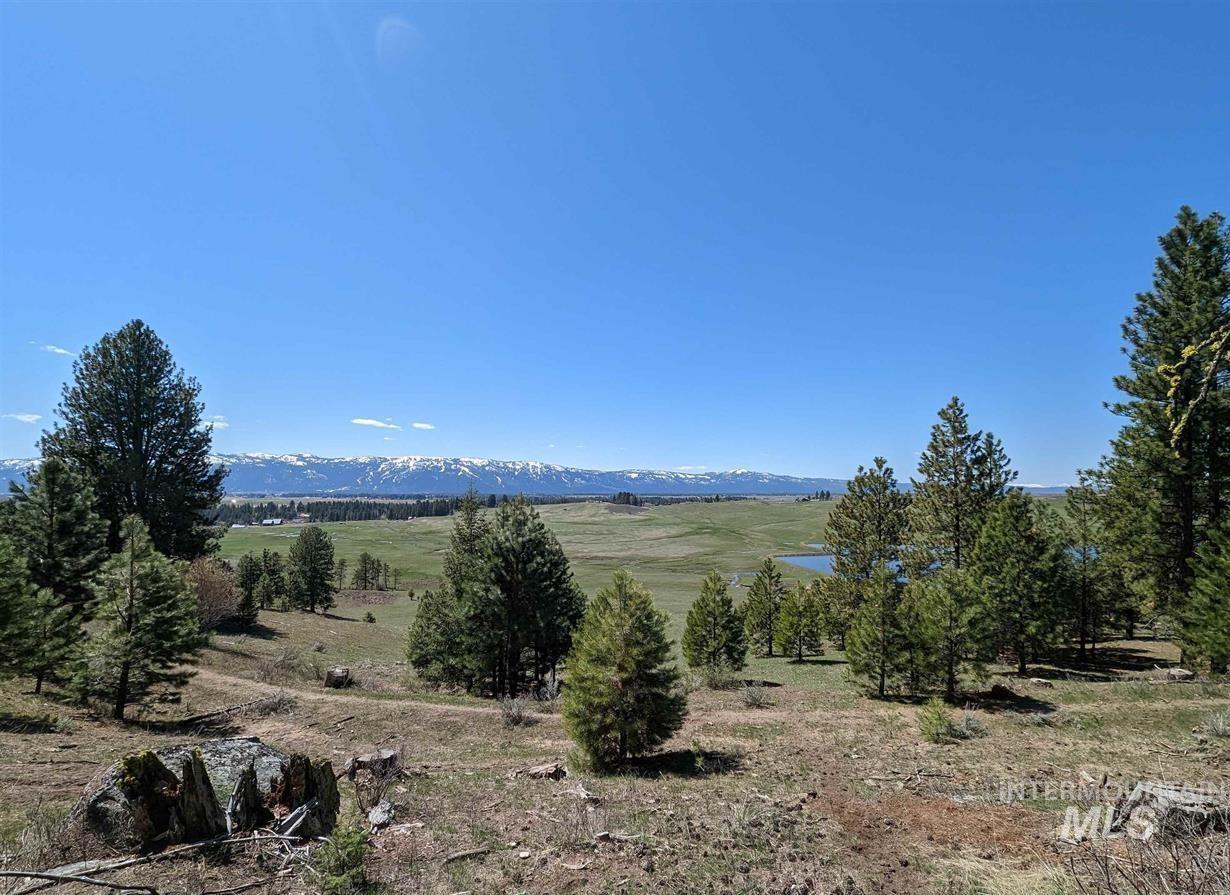 Tbd Gold Fork Rd (374 Acres) Property Photo 3