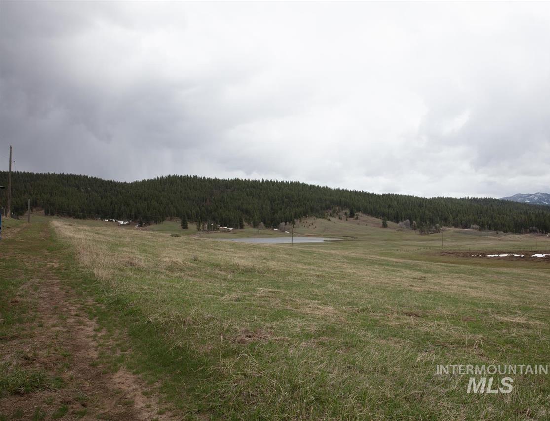 Tbd Gold Fork Rd (374 Acres) Property Photo 12
