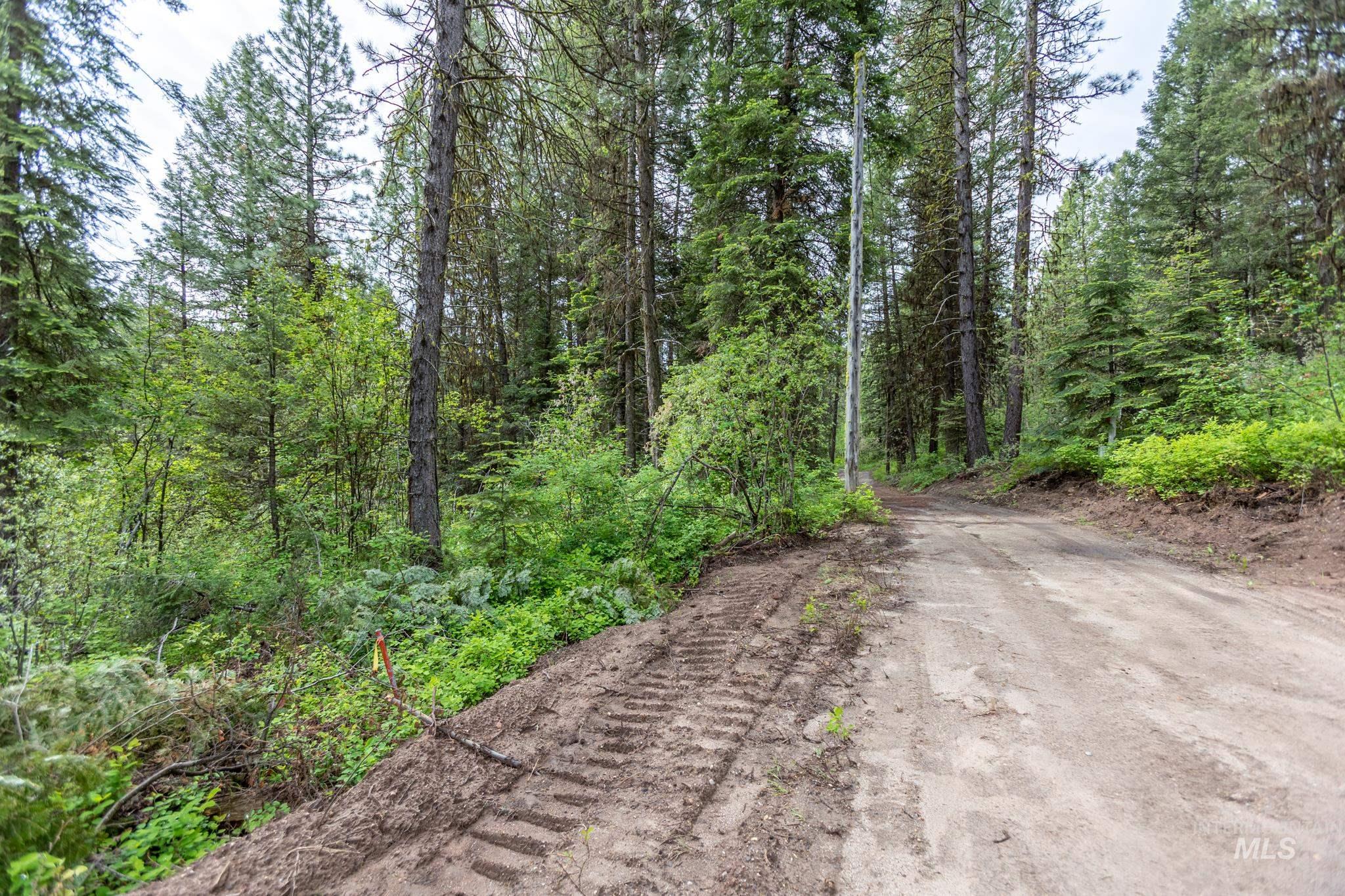 520 Susan Road Property Photo 4