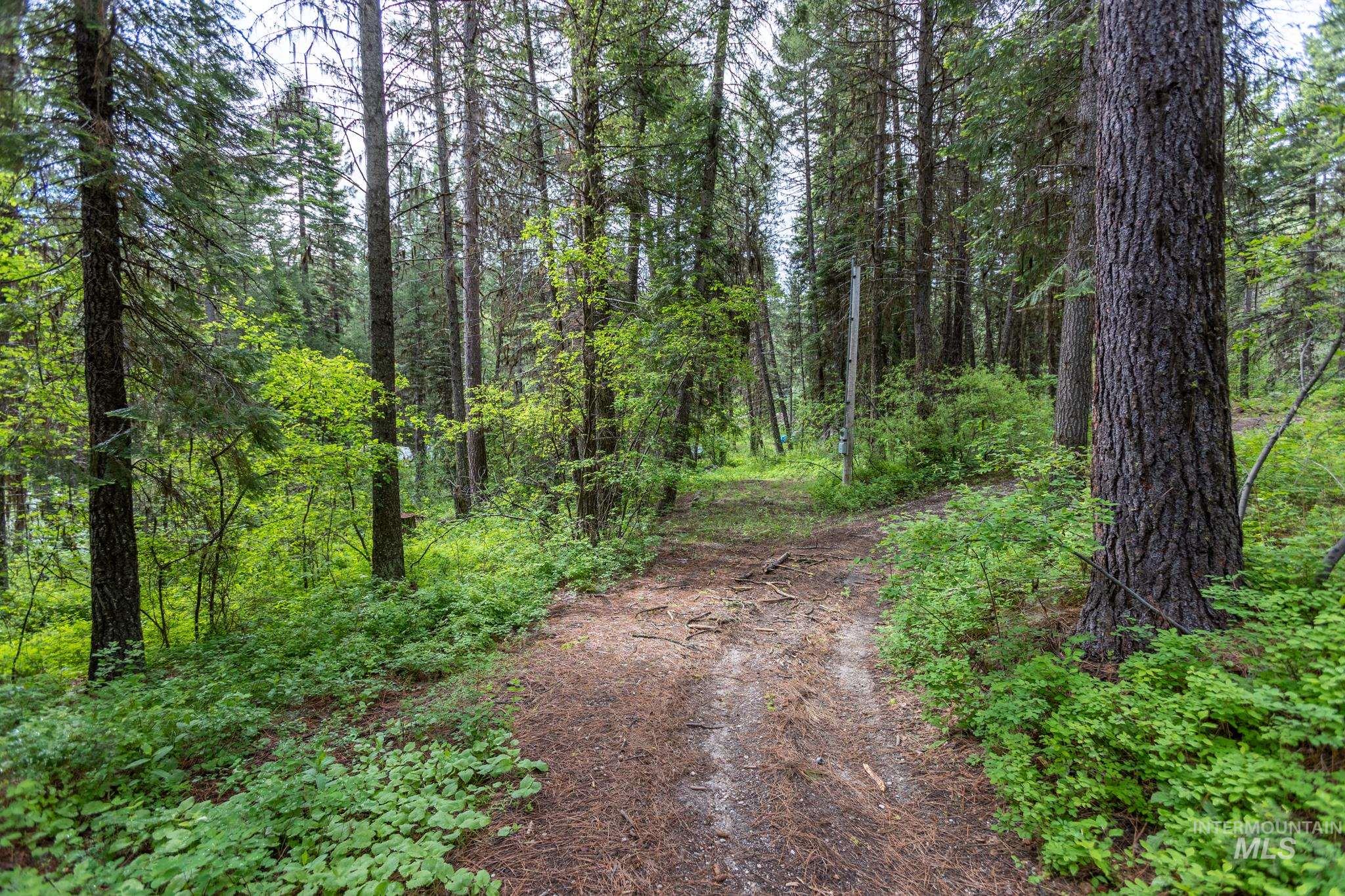 520 Susan Road Property Photo 6