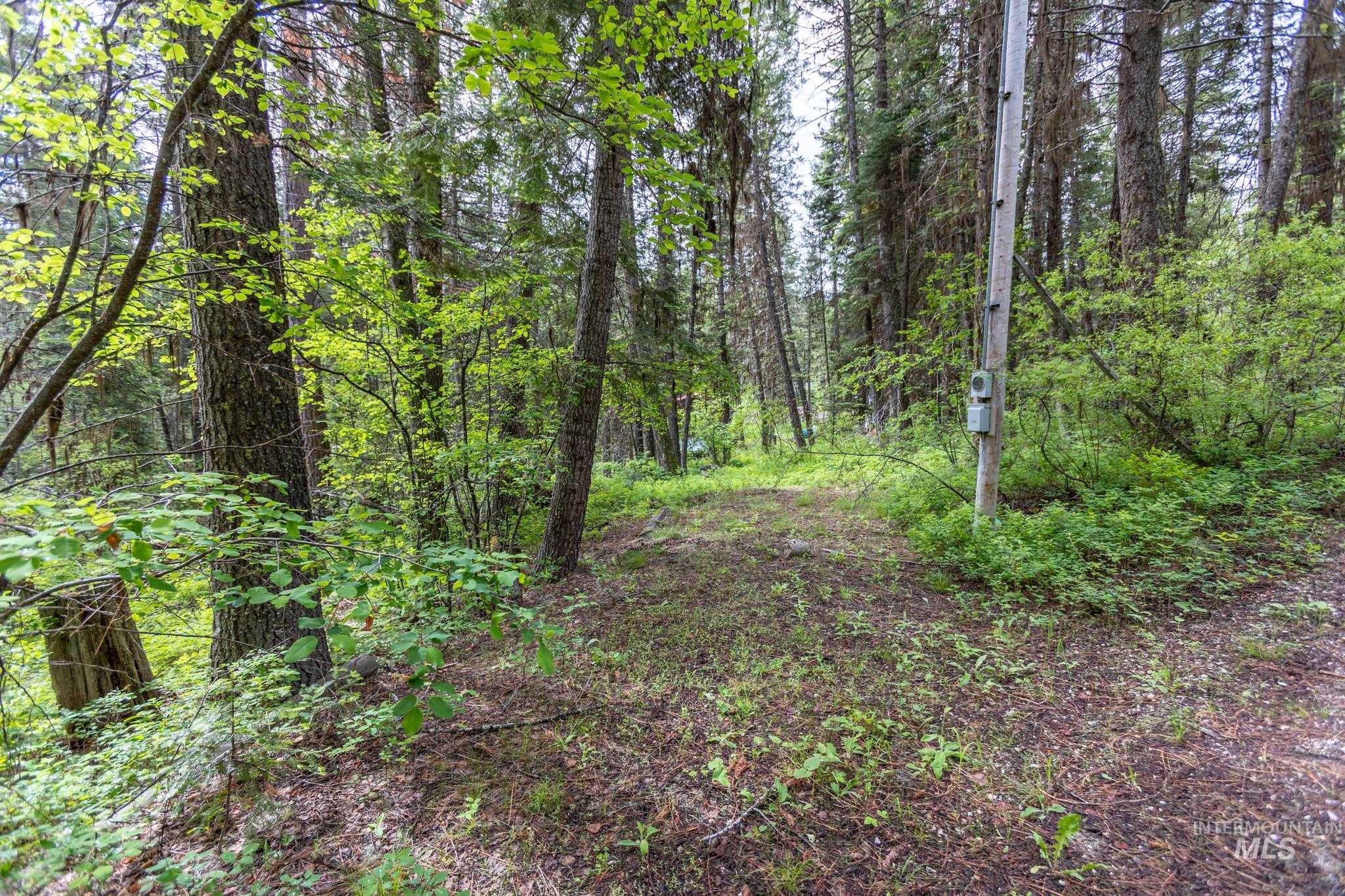 520 Susan Road Property Photo 7