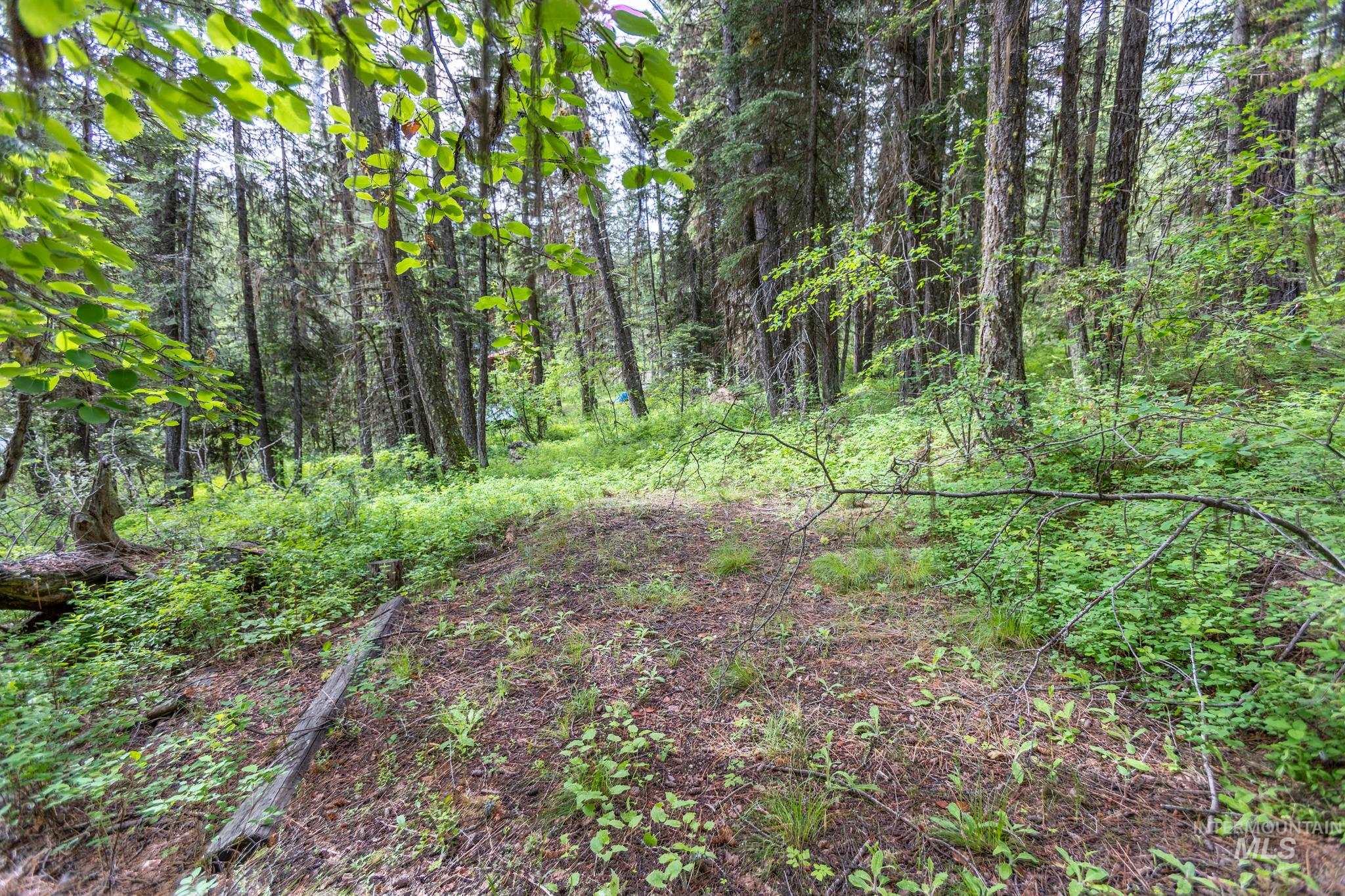 520 Susan Road Property Photo 10