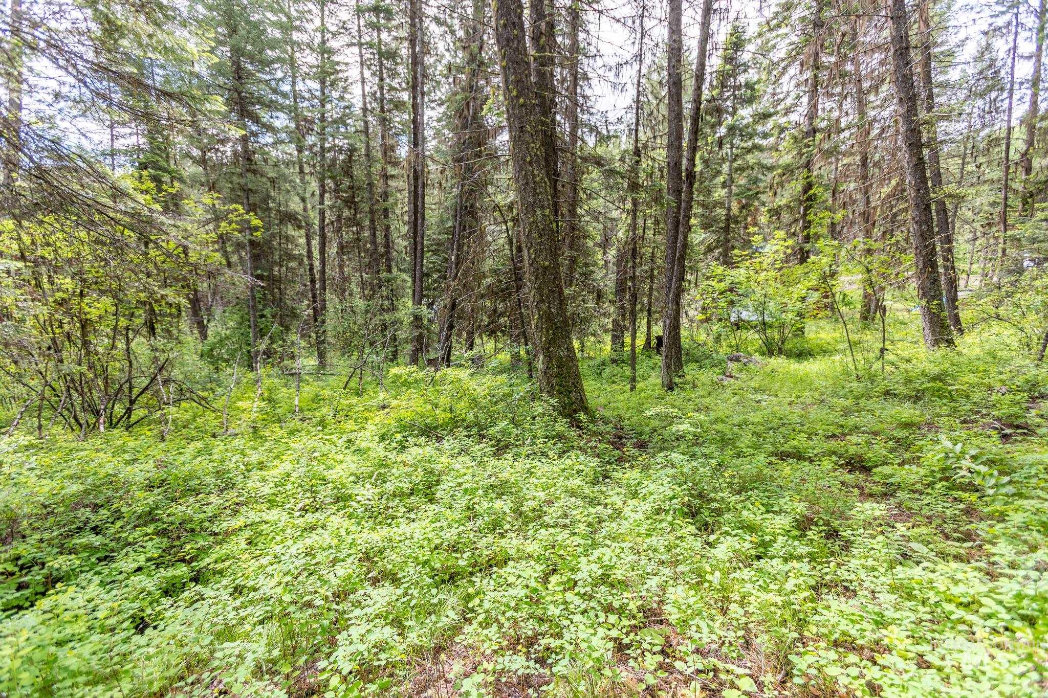 520 Susan Road Property Photo 11
