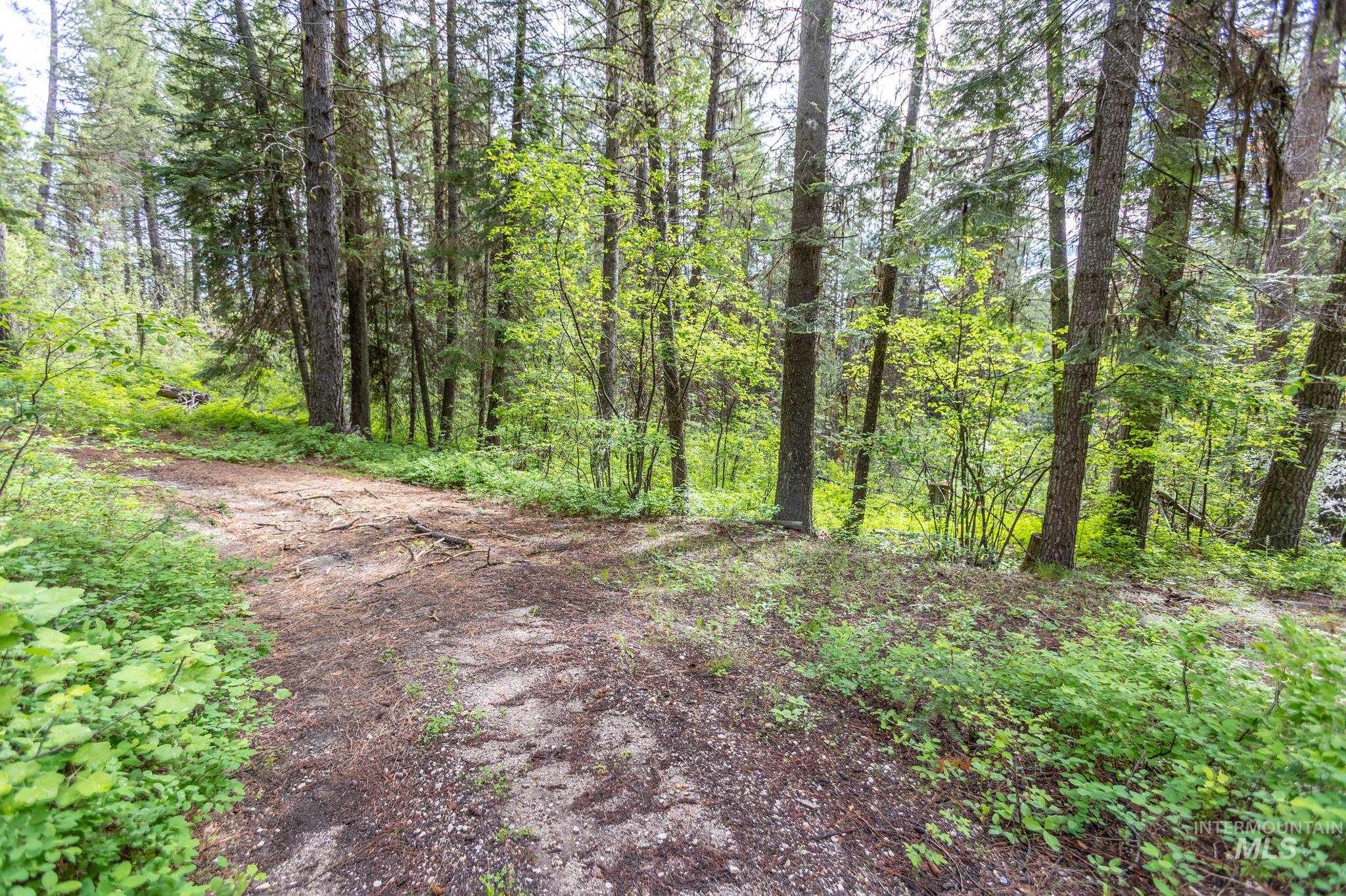 520 Susan Road Property Photo 13
