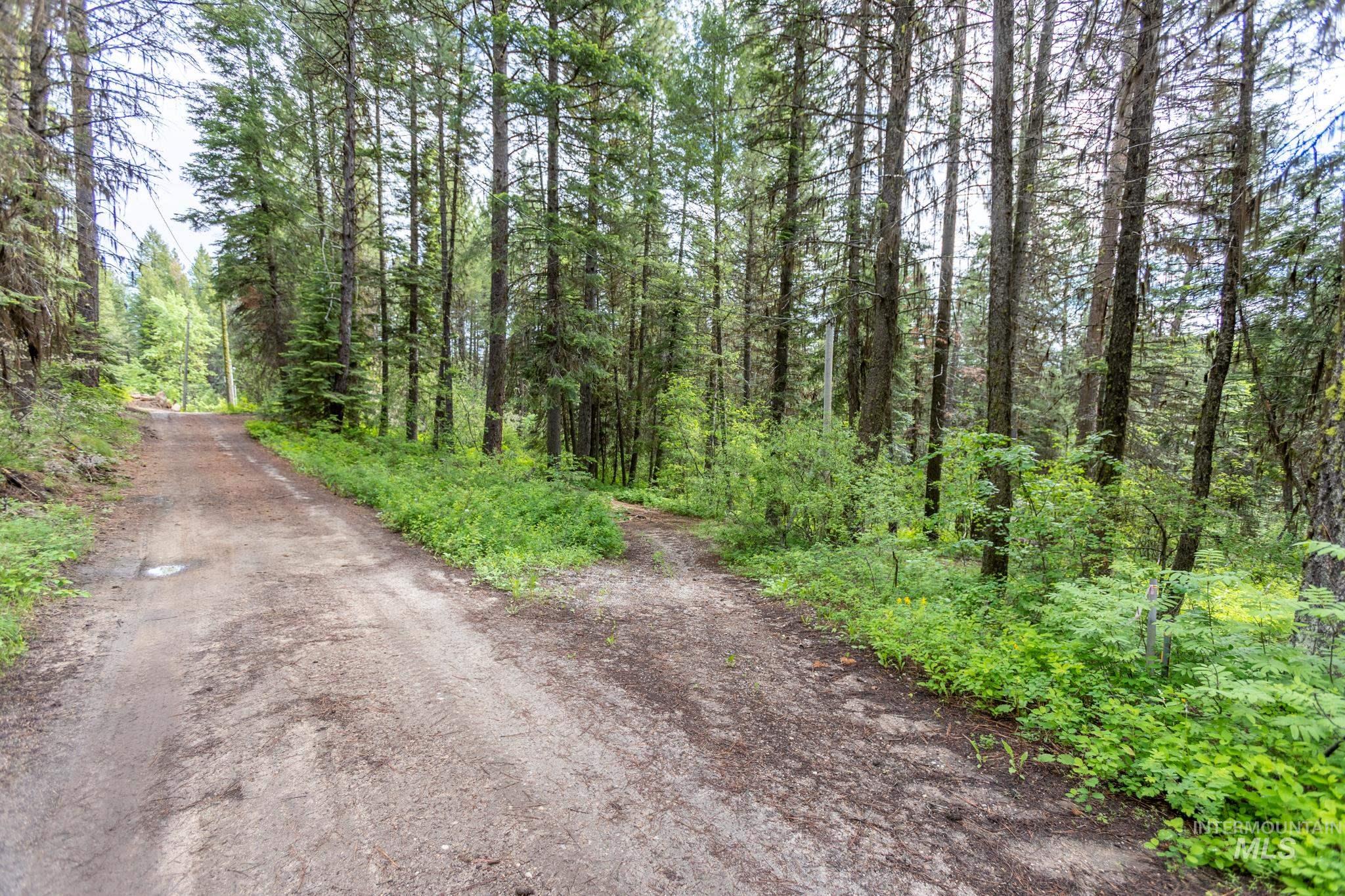 520 Susan Road Property Photo 15