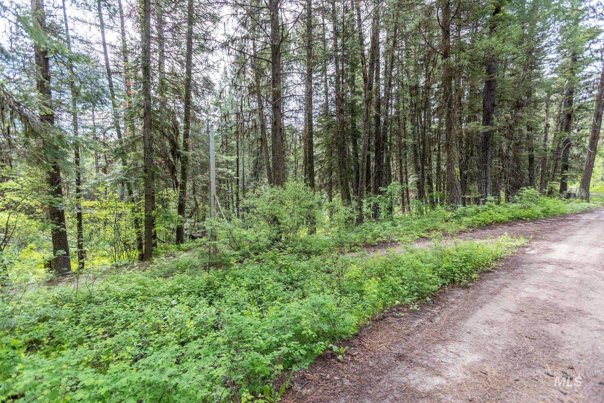 520 Susan Road Property Photo 18