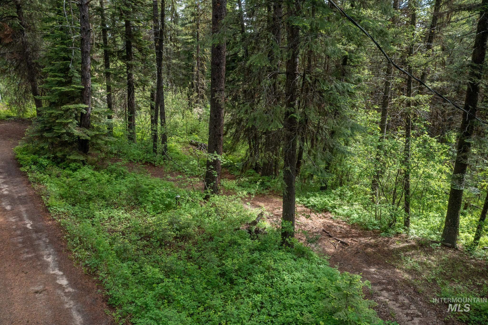 520 Susan Road Property Photo 37
