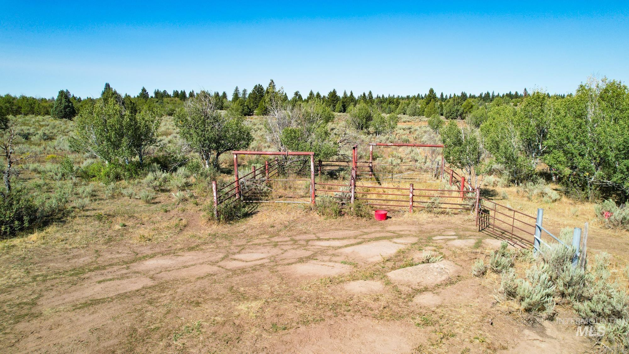 Tbd Sadorus Hill Road Property Photo 2