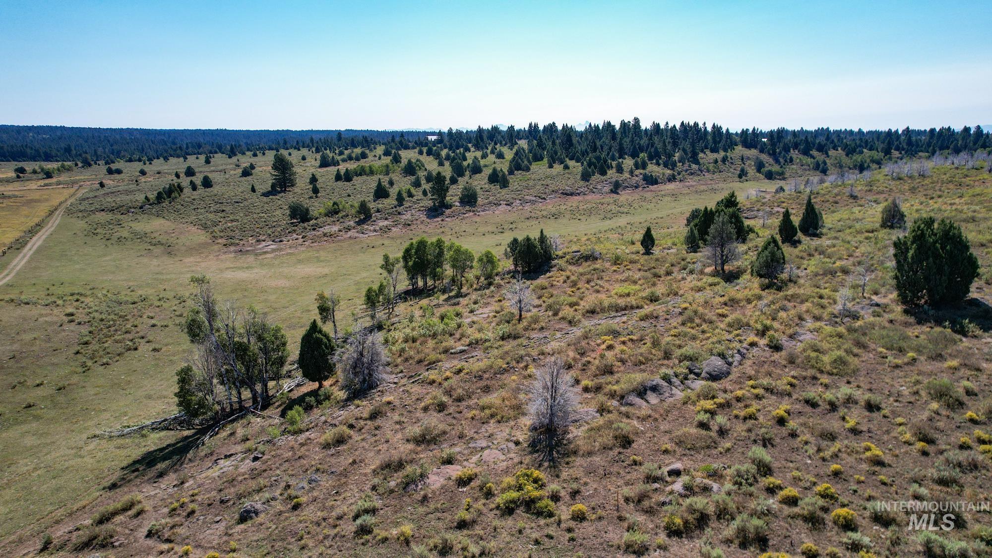 Tbd Sadorus Hill Road Property Photo 3