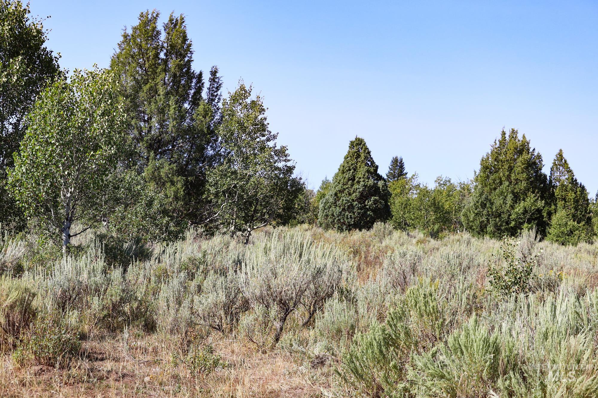 Tbd Sadorus Hill Road Property Photo 14