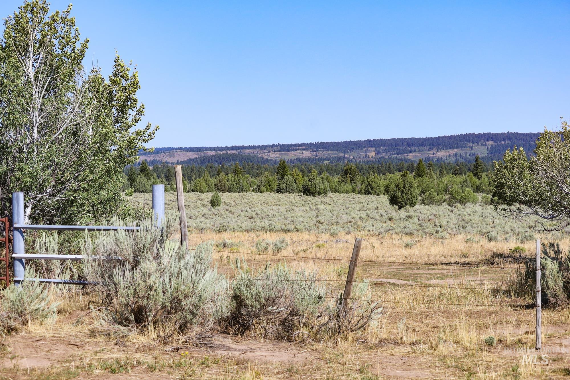 Tbd Sadorus Hill Road Property Photo 15