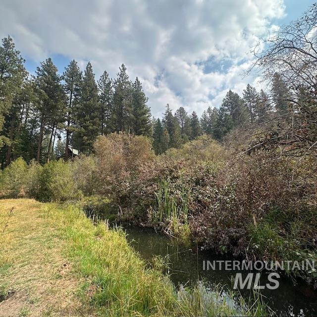 1737 Pine Lakes Ranch Dr / And Tbd Property Photo 3