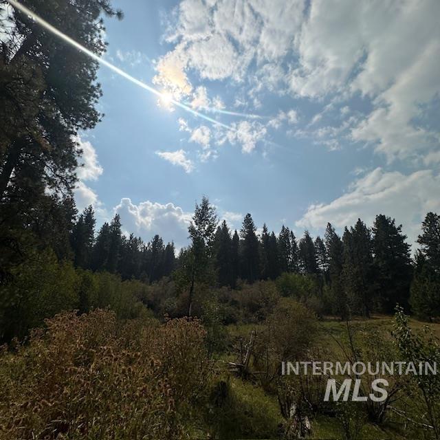 1737 Pine Lakes Ranch Dr / And Tbd Property Photo 8