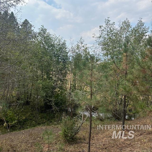 1737 Pine Lakes Ranch Dr / And Tbd Property Photo 14