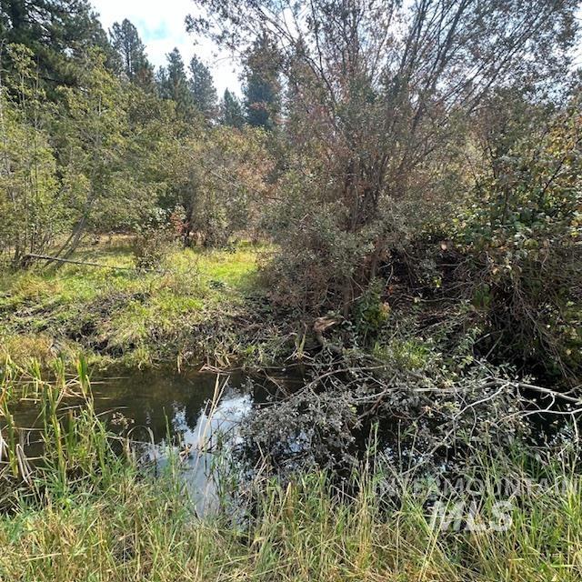 1737 Pine Lakes Ranch Dr / And Tbd Property Photo 20