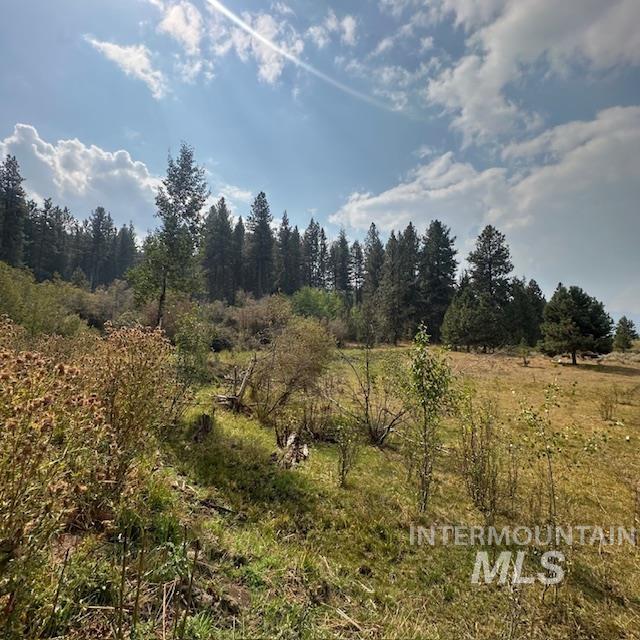 1737 Pine Lakes Ranch Dr / And Tbd Property Photo 21