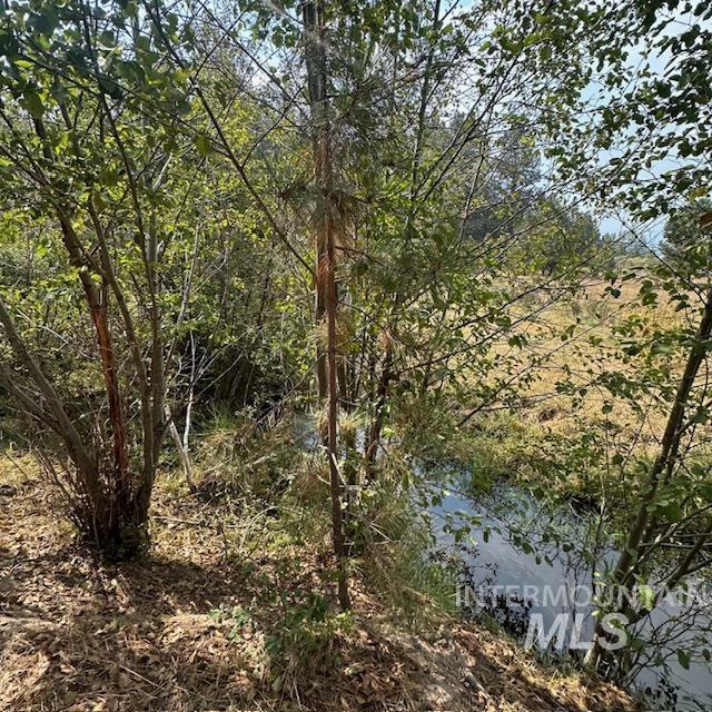 1737 Pine Lakes Ranch Dr / And Tbd Property Photo 23